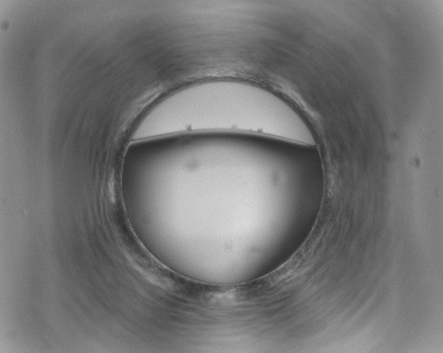X0000075860068200609151006