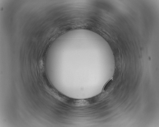 X0000075860087200609151006