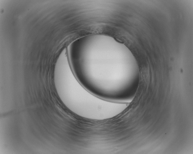 X0000075860092200609151006