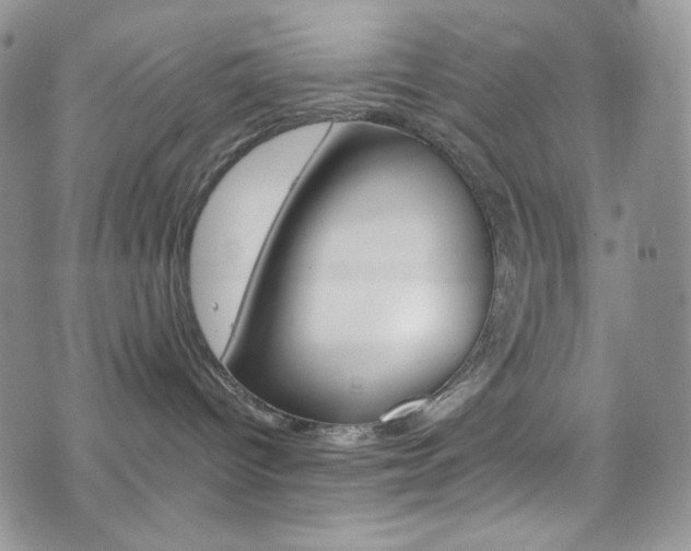 X0000075860096200609151006