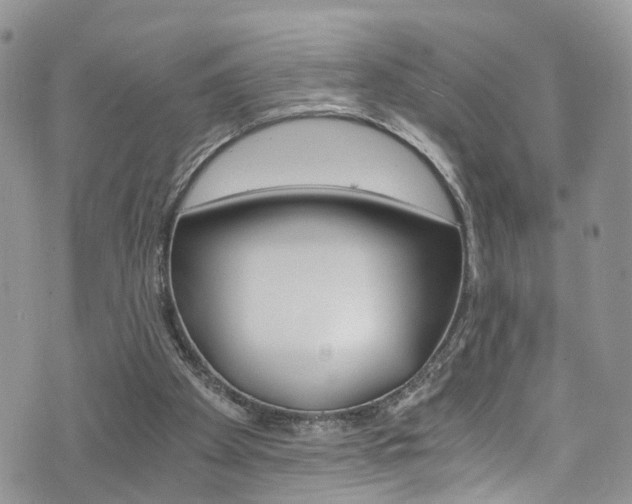 X0000075860105200609151005