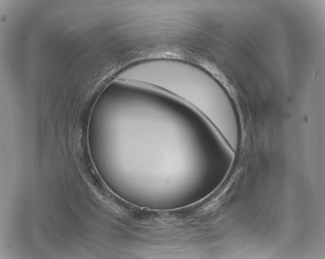 X0000075860201200609151004
