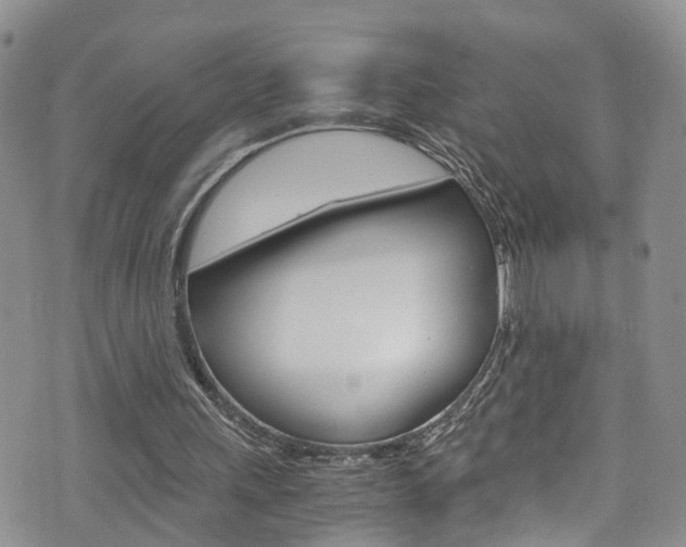 X0000075860243200609151002