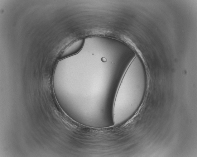X0000075860249200609151002