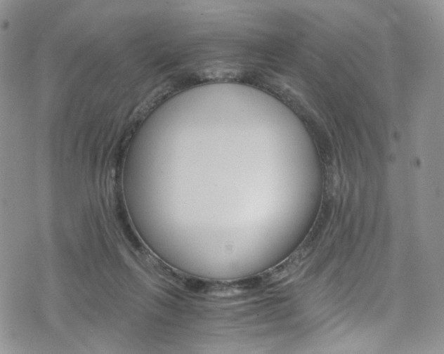X0000075860263200609151003