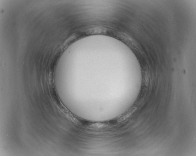 X0000075860326200609151002