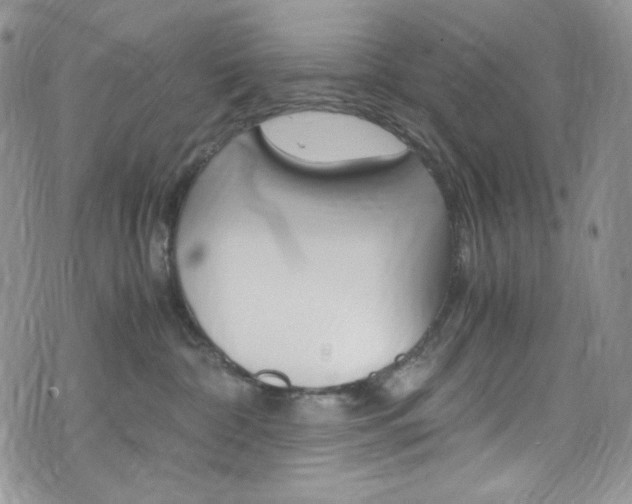 X0000075860332200609151002