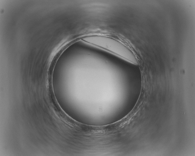 X0000075860344200609151001