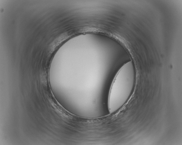 X0000075860345200609151001