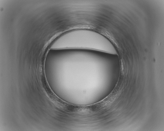 X0000075860348200609151001