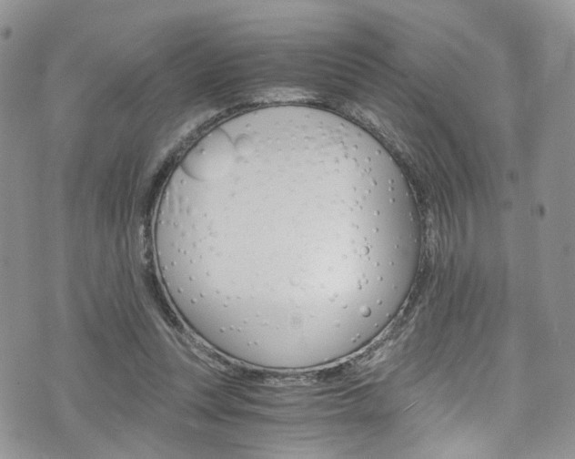 X0000075860351200609151001