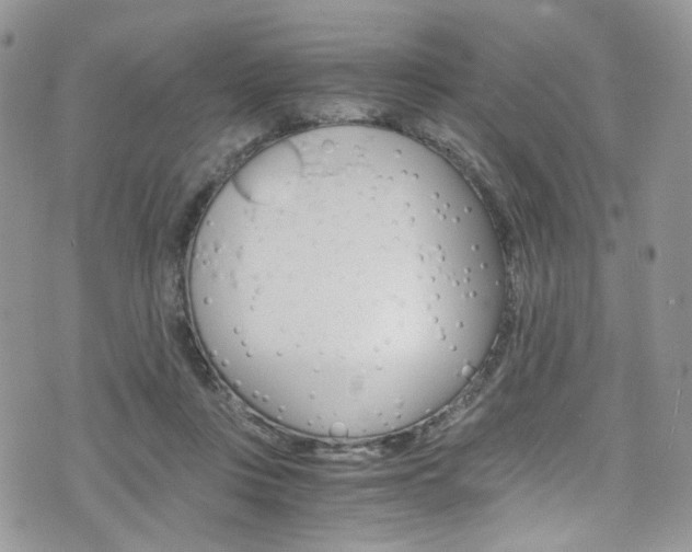 X0000075860359200609151001