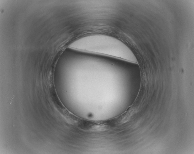 X0000075860364200609151001