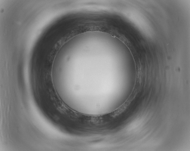 X0000075860383200609151001