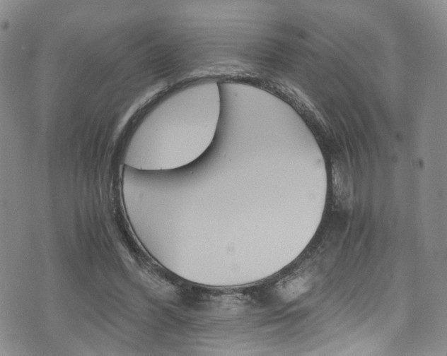 X0000075860396200609151000