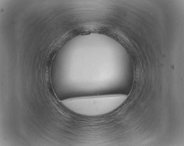 X0000075860413200609151000