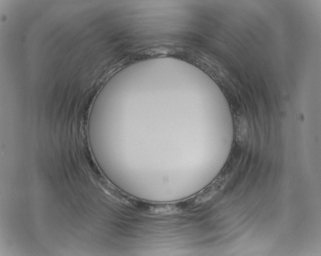 X0000075860414200609151000