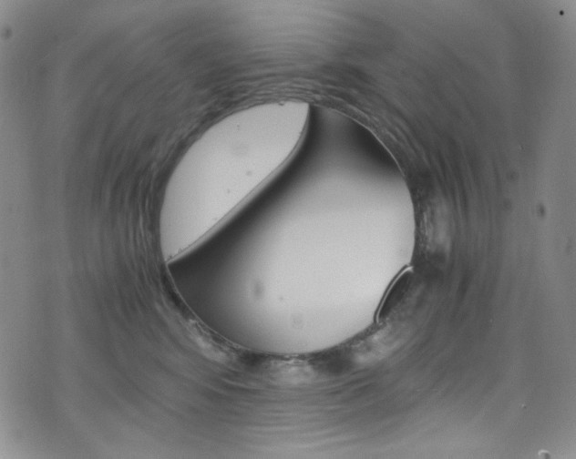 X0000075860424200609151000
