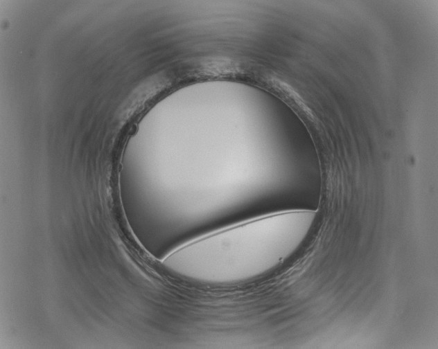 X0000075860443200609150959