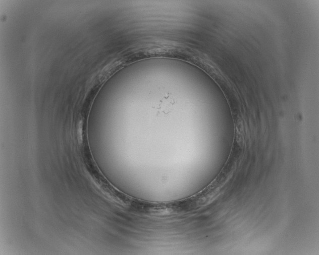 X0000075860454200609150959
