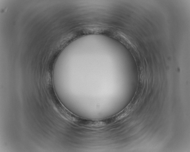 X0000075860459200609151000
