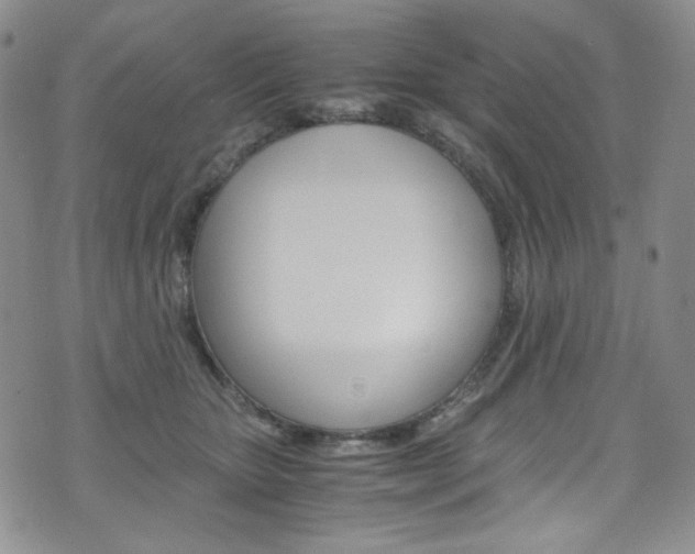 X0000075860467200609151000