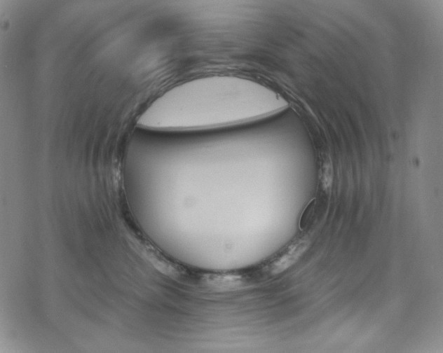X0000075860476200609151000