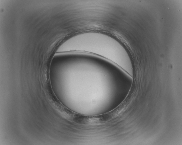 X0000075860501200609150959