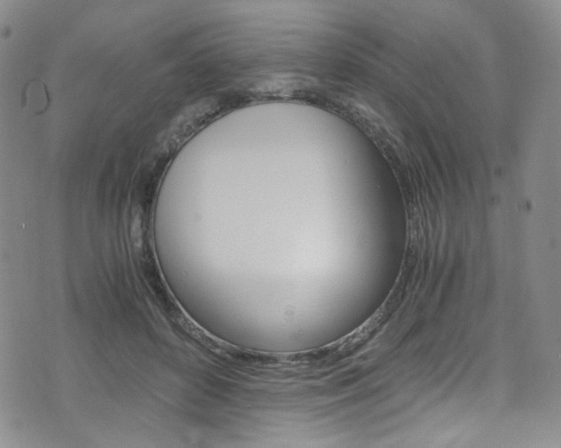 X0000075860504200609150959