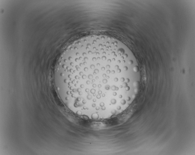 X0000075860519200609150959