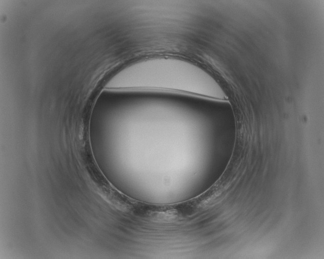 X0000075860548200609150958
