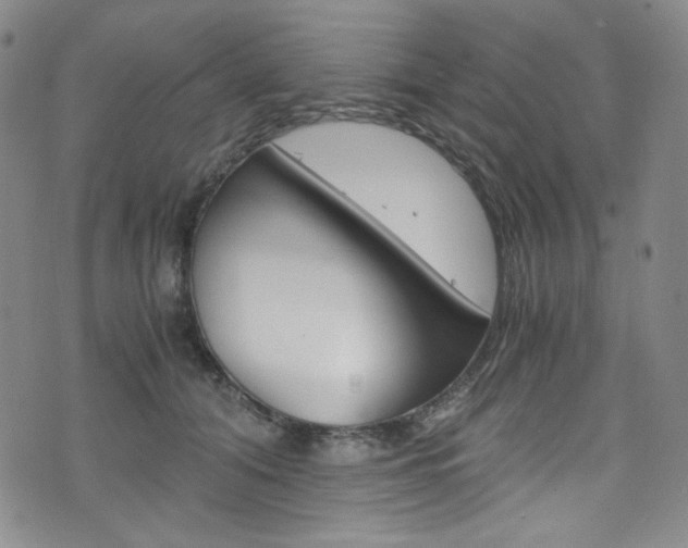 X0000075860608200609150957
