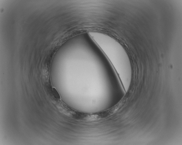 X0000075860609200609150957