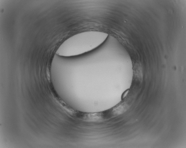 X0000075860622200609150957