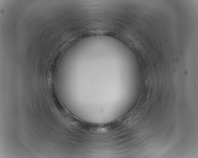X0000075860647200609150956