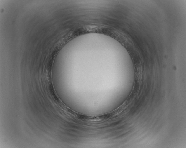 X0000075860653200609150956