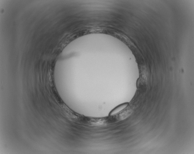 X0000075860667200609150957