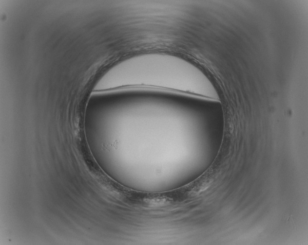 X0000075860693200609150956