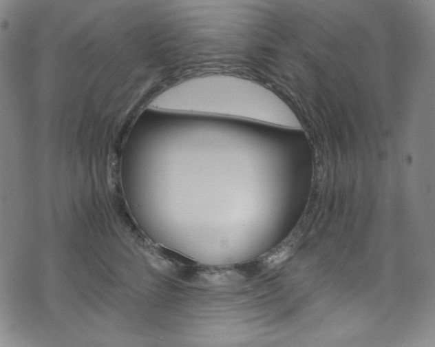 X0000075860712200609150955