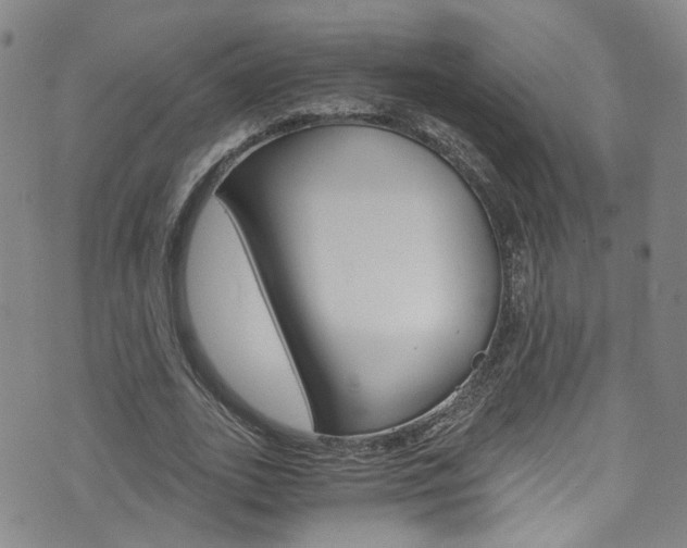 X0000075860727200609150955