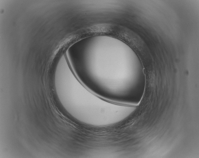 X0000075860731200609150955