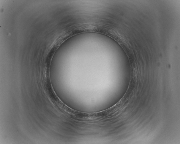 X0000075860739200609150955