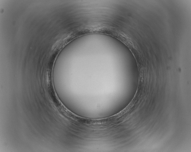 X0000075860740200609150955