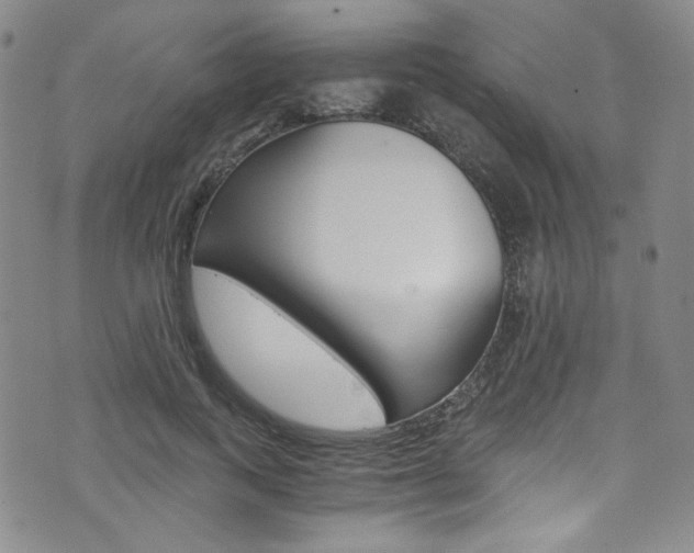 X0000075860743200609150955