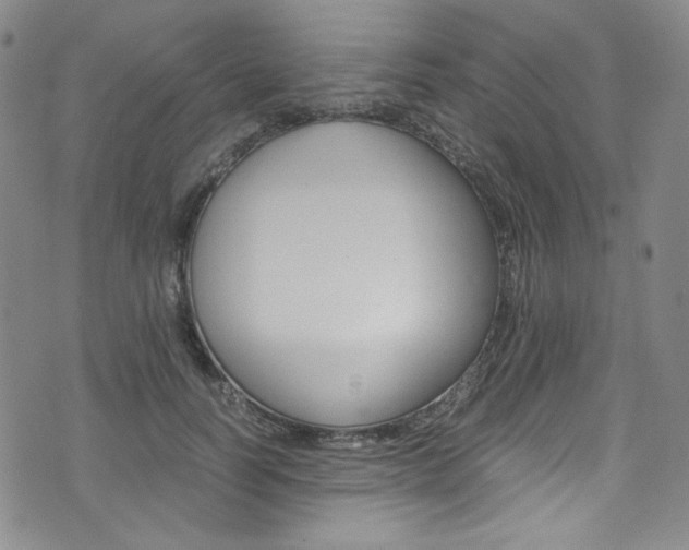 X0000075860746200609150955