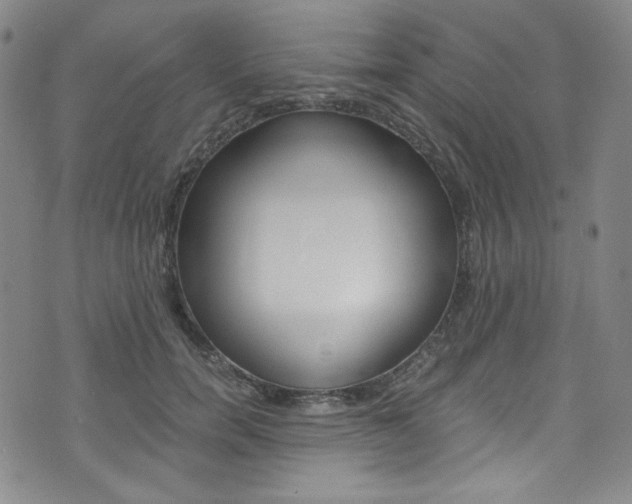 X0000075860750200609150955