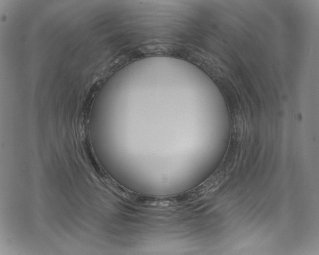 X0000075860751200609150955