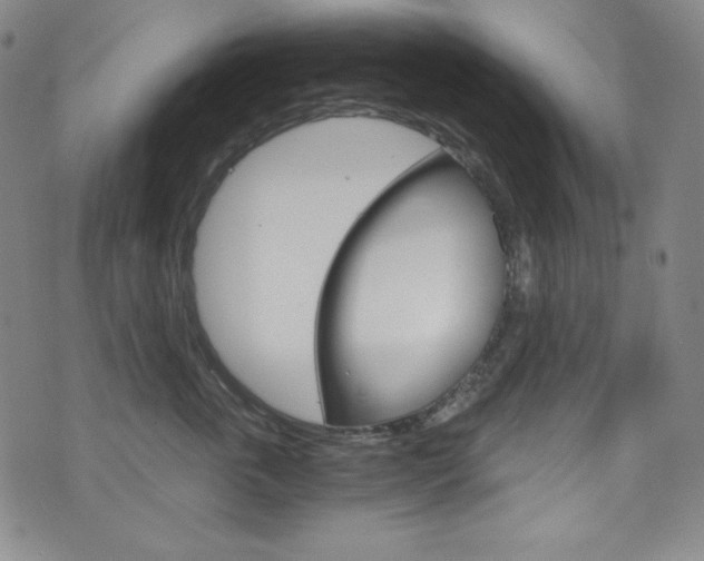 X0000075860763200609150955