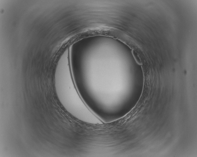 X0000075860822200609150953