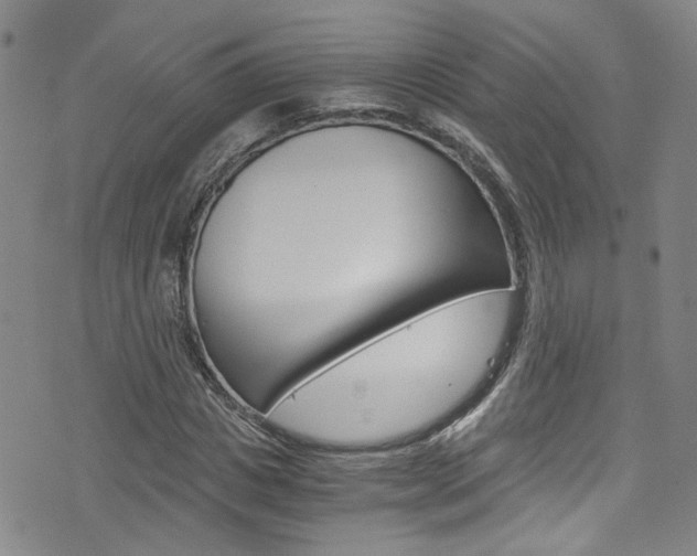 X0000075860825200609150953